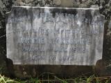 image of grave number 670517